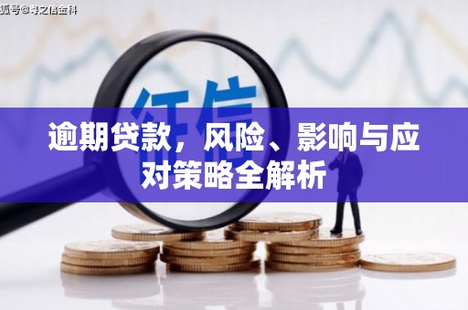 赤城逾期贷款，风险、影响与应对策略全解析