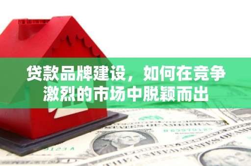 赤城贷款品牌建设，如何在竞争激烈的市场中脱颖而出