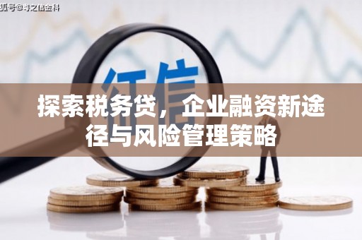 赤城探索税务贷，企业融资新途径与风险管理策略