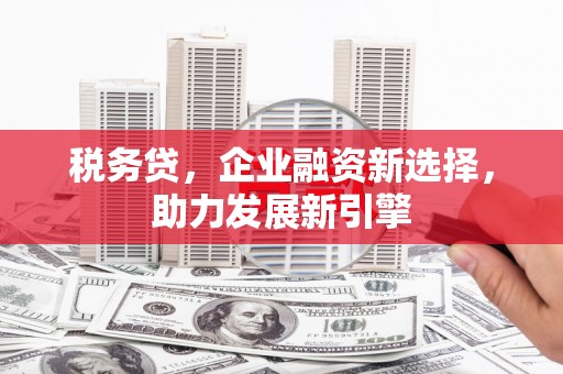 赤城税务贷，企业融资新选择，助力发展新引擎