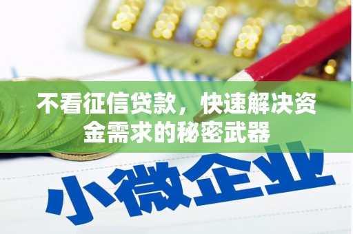 赤城不看征信贷款，快速解决资金需求的秘密武器