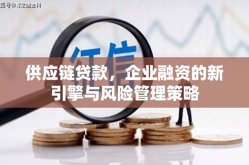 赤城供应链贷款，企业融资的新引擎与风险管理策略
