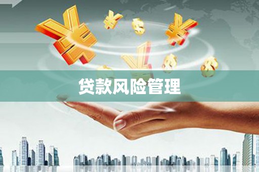 赤城贷款风险管理
