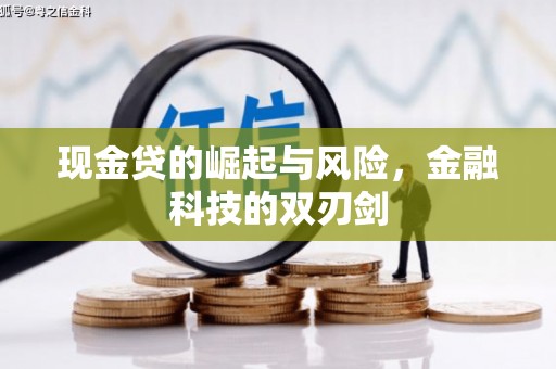赤城现金贷的崛起与风险，金融科技的双刃剑