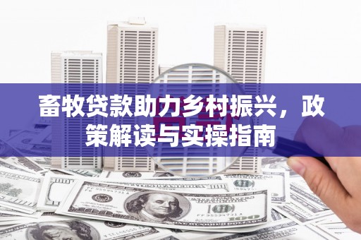 赤城畜牧贷款助力乡村振兴，政策解读与实操指南