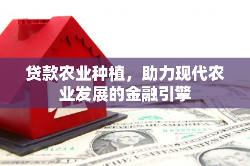 赤城贷款农业种植，助力现代农业发展的金融引擎