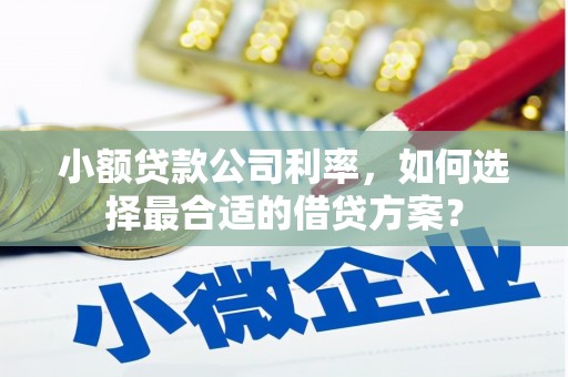 赤城小额贷款公司利率，如何选择最合适的借贷方案？