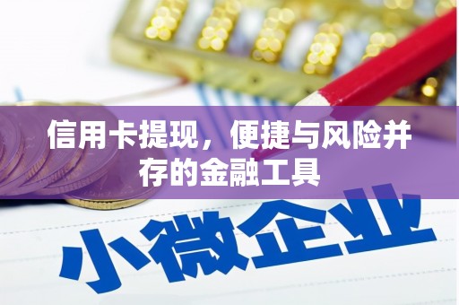 赤城信用卡提现，便捷与风险并存的金融工具