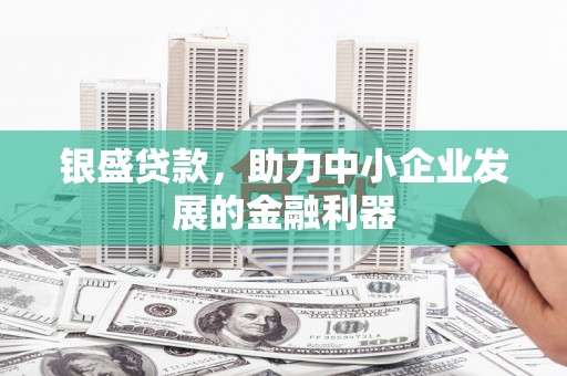 赤城银盛贷款，助力中小企业发展的金融利器