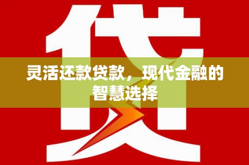 赤城灵活还款贷款，现代金融的智慧选择