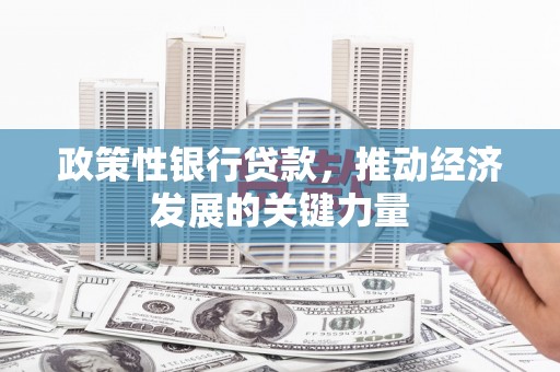 赤城政策性银行贷款，推动经济发展的关键力量
