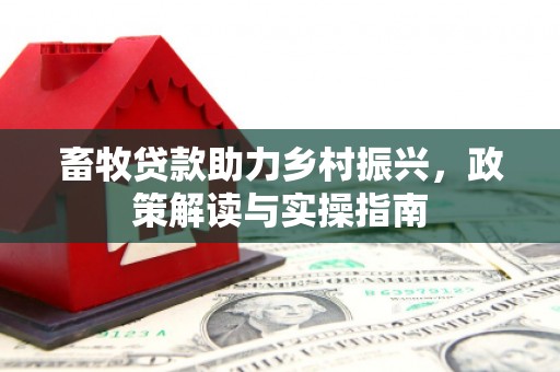 赤城畜牧贷款助力乡村振兴，政策解读与实操指南