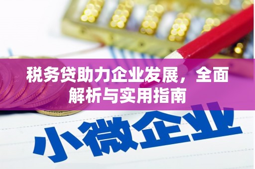 赤城税务贷助力企业发展，全面解析与实用指南