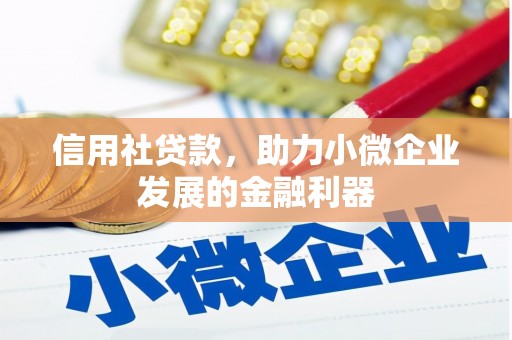 赤城信用社贷款，助力小微企业发展的金融利器