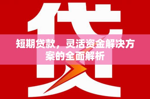 赤城短期贷款，灵活资金解决方案的全面解析