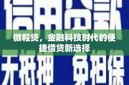 赤城微粒贷，金融科技时代的便捷借贷新选择