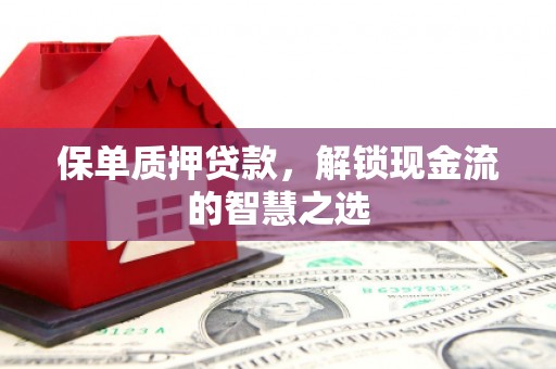 赤城保单质押贷款，解锁现金流的智慧之选
