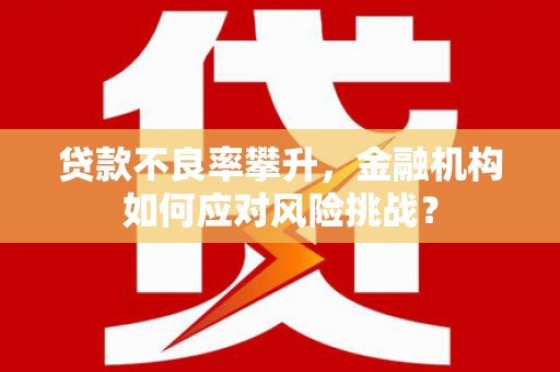 赤城贷款不良率攀升，金融机构如何应对风险挑战？