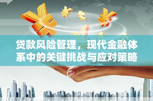赤城贷款风险管理，现代金融体系中的关键挑战与应对策略