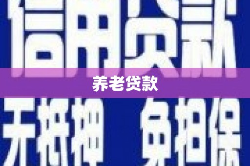 赤城养老贷款