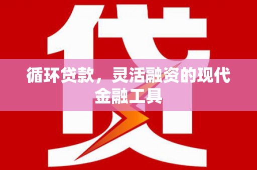赤城循环贷款，灵活融资的现代金融工具