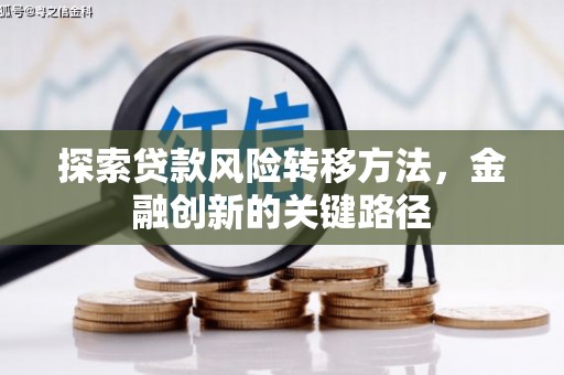 赤城探索贷款风险转移方法，金融创新的关键路径