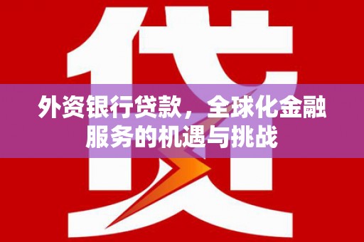 赤城外资银行贷款，全球化金融服务的机遇与挑战