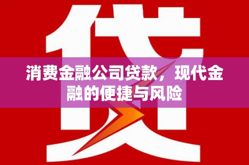 赤城消费金融公司贷款，现代金融的便捷与风险