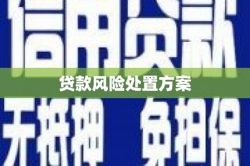 赤城贷款风险处置方案
