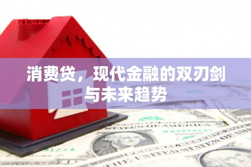 赤城消费贷，现代金融的双刃剑与未来趋势