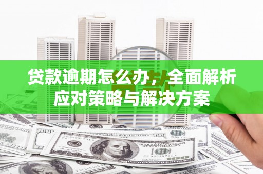 赤城贷款逾期怎么办，全面解析应对策略与解决方案
